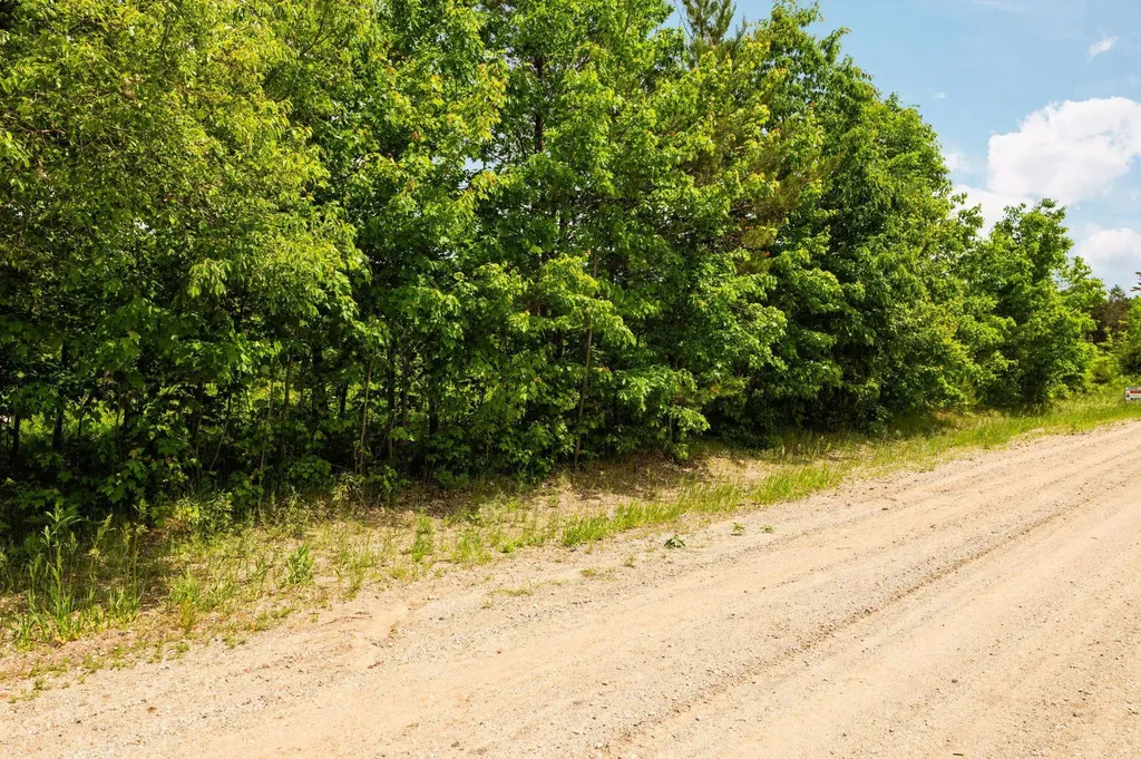 Parcel D N Carmean Road Inland Township MI 49643