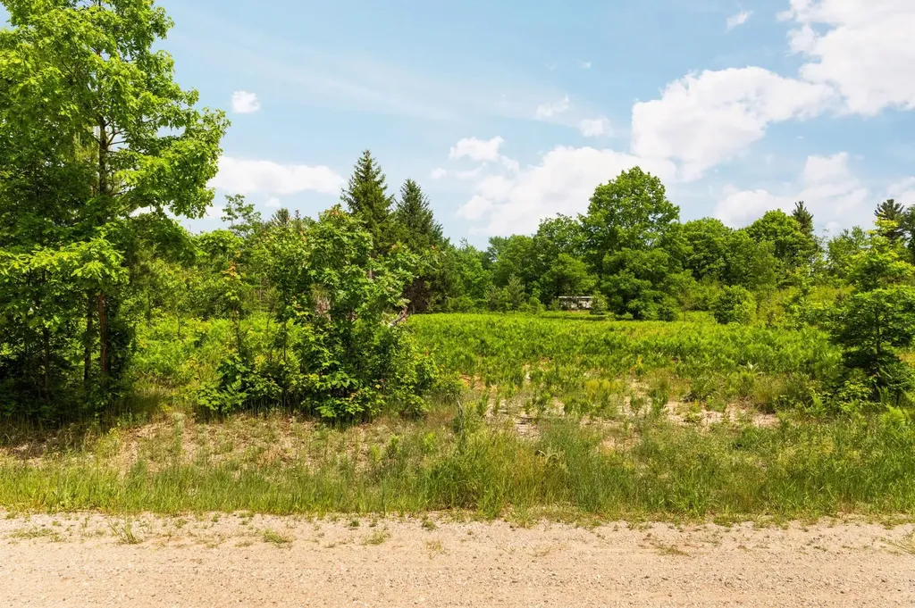 Parcel D N Carmean Road Inland Township MI 49643