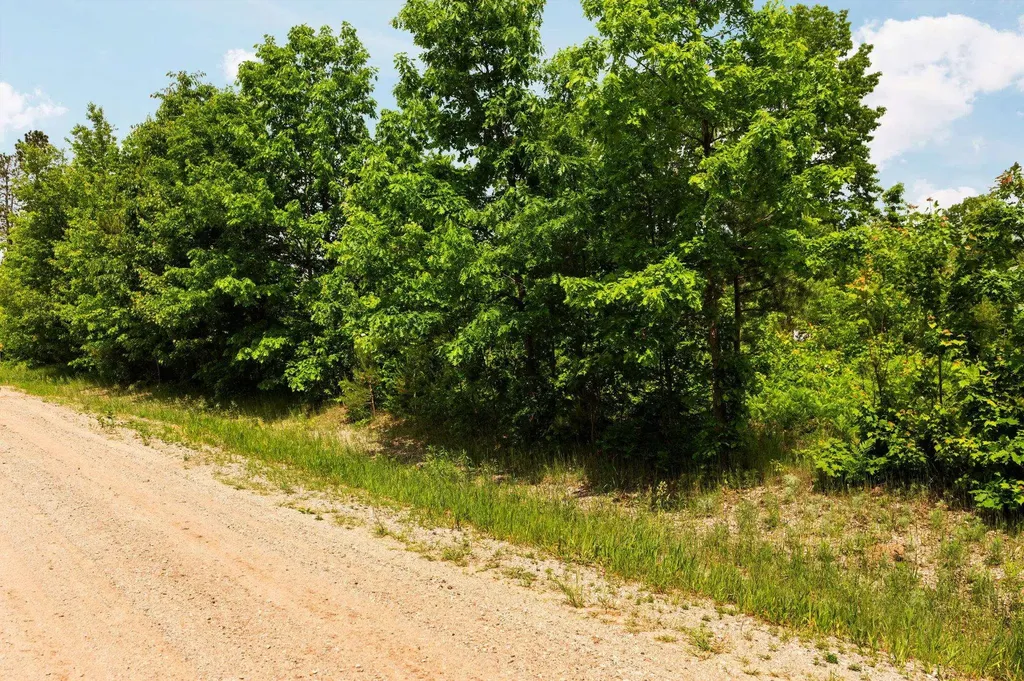 Parcel D N Carmean Road Inland Township MI 49643