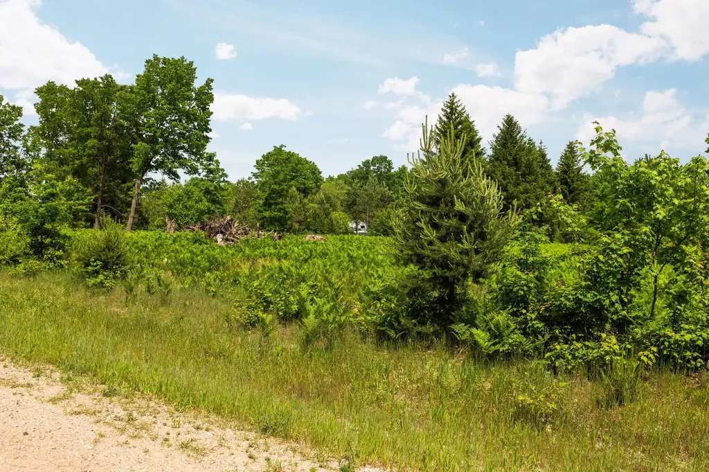 Parcel D N Carmean Road Inland Township MI 49643
