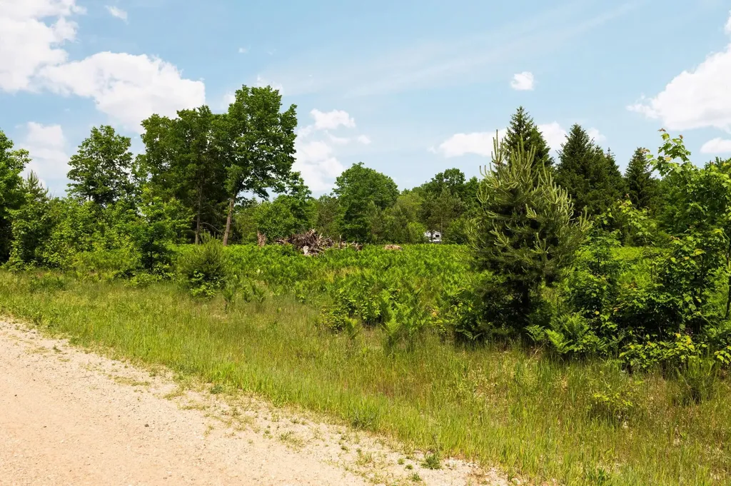 Parcel D N Carmean Road Inland Township MI 49643
