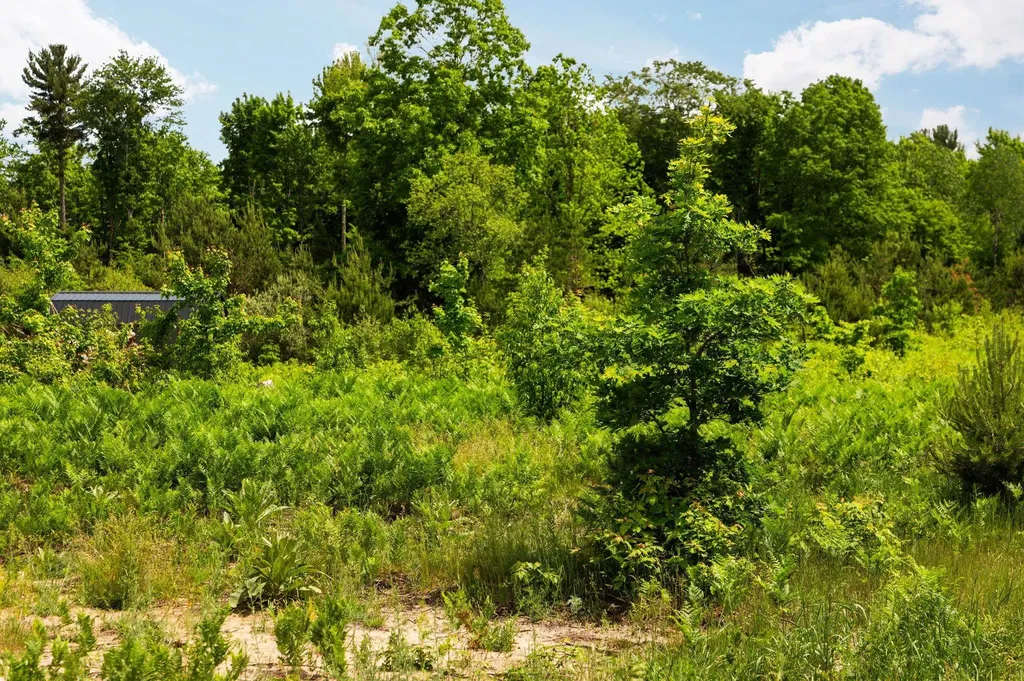 Parcel D N Carmean Road Inland Township MI 49643