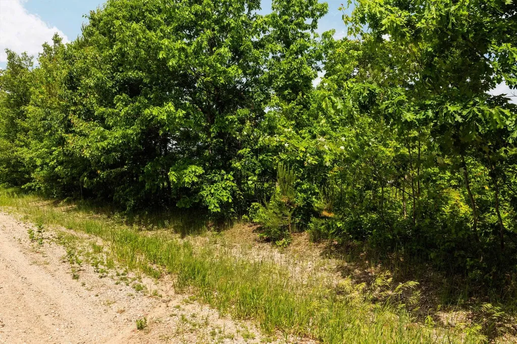 Parcel D N Carmean Road Inland Township MI 49643