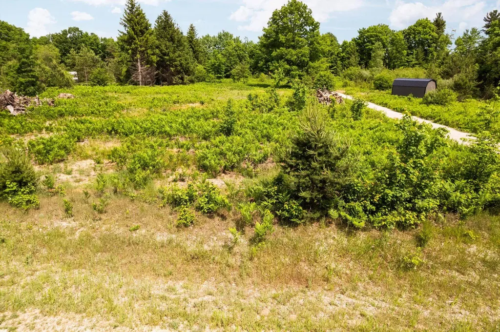 Parcel D N Carmean Road Inland Township MI 49643