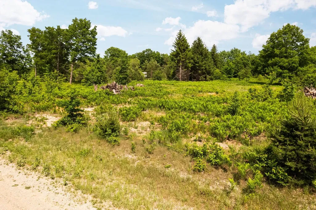Parcel D N Carmean Road Inland Township MI 49643