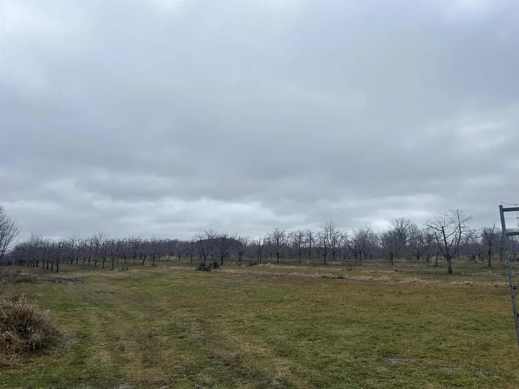 0 N M-88 Central Lake Township MI 49622