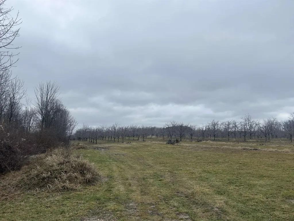 0 N M-88 Central Lake Township MI 49622