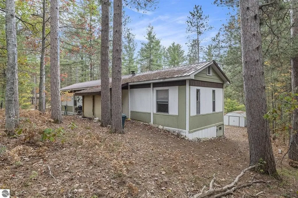 377 E Bear Lake Road Bear Lake Township MI 49646