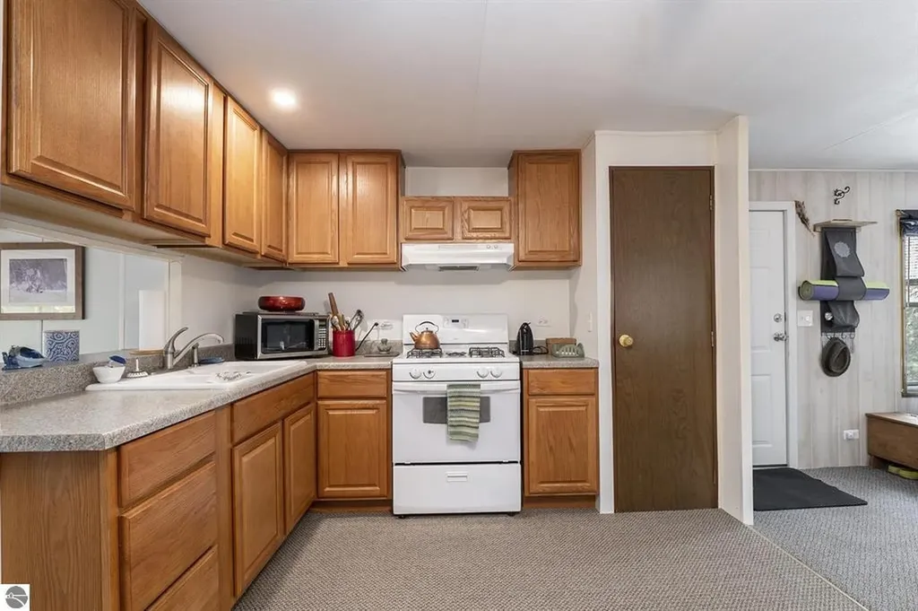 377 E Bear Lake Road Bear Lake Township MI 49646