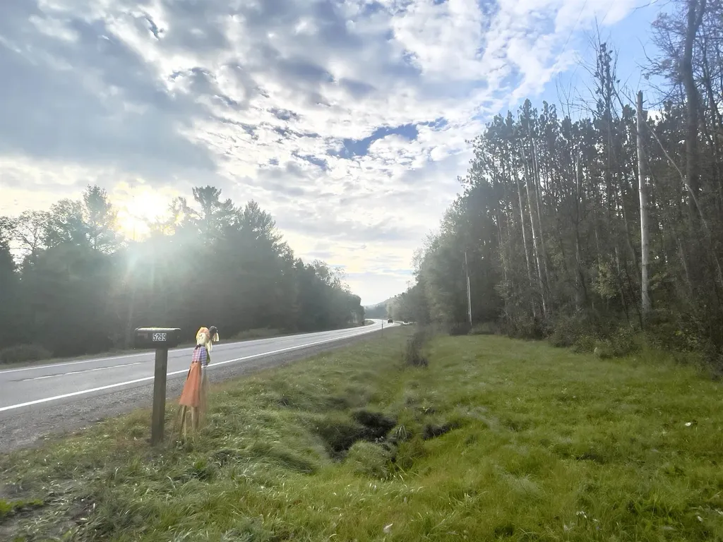 5299 M-66 Echo Township MI 49727
