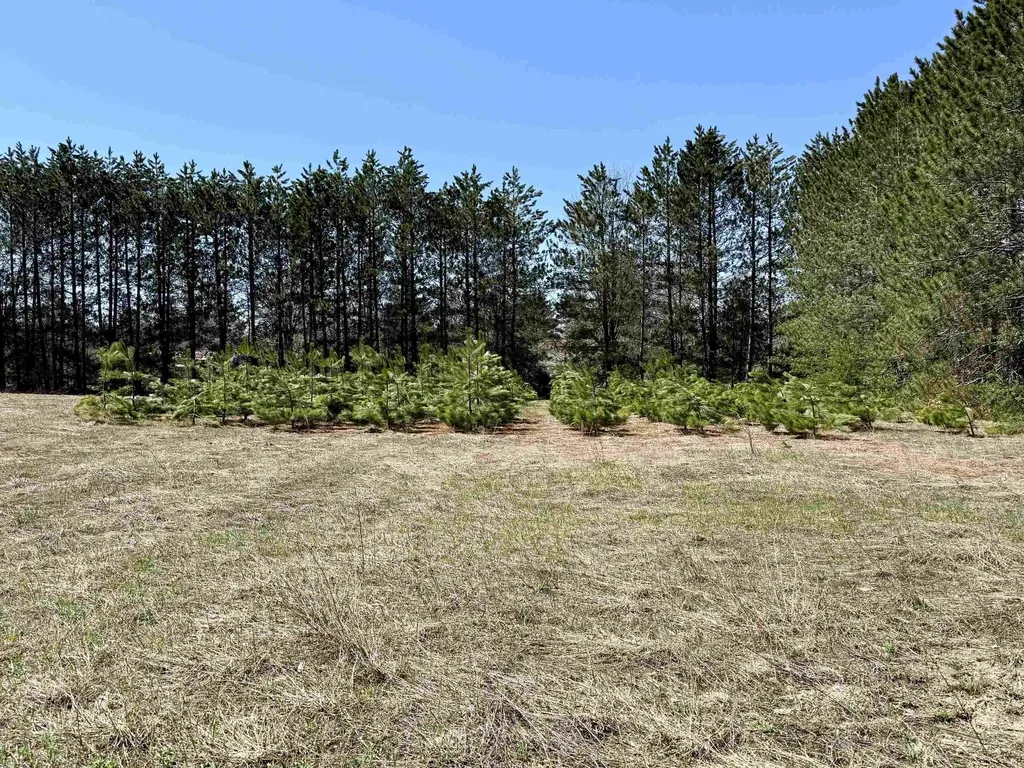 3044 S 29 Road Selma Township MI 49601