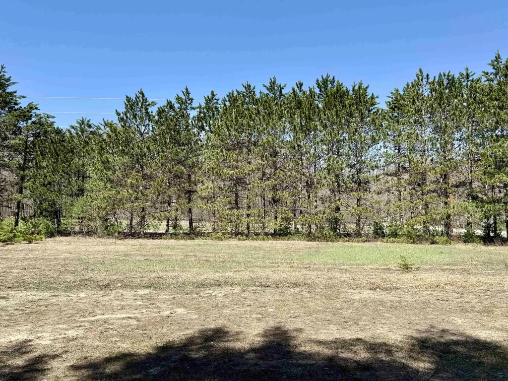 3044 S 29 Road Selma Township MI 49601