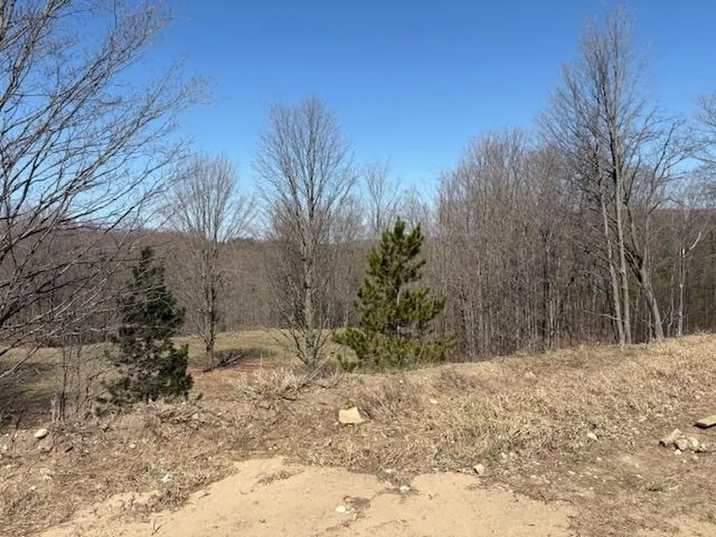 1690 Finch Drive Blair Township MI 49685
