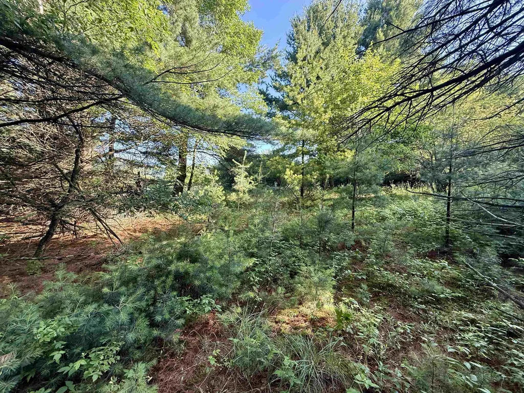 15 S Westview Drive Empire Township MI 49630