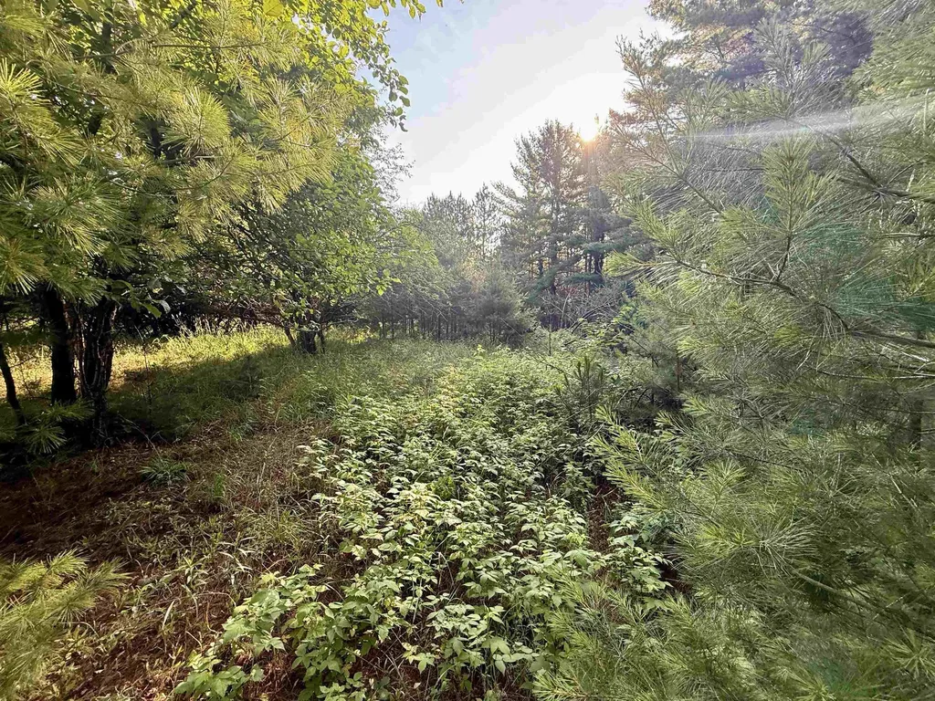 15 S Westview Drive Empire Township MI 49630