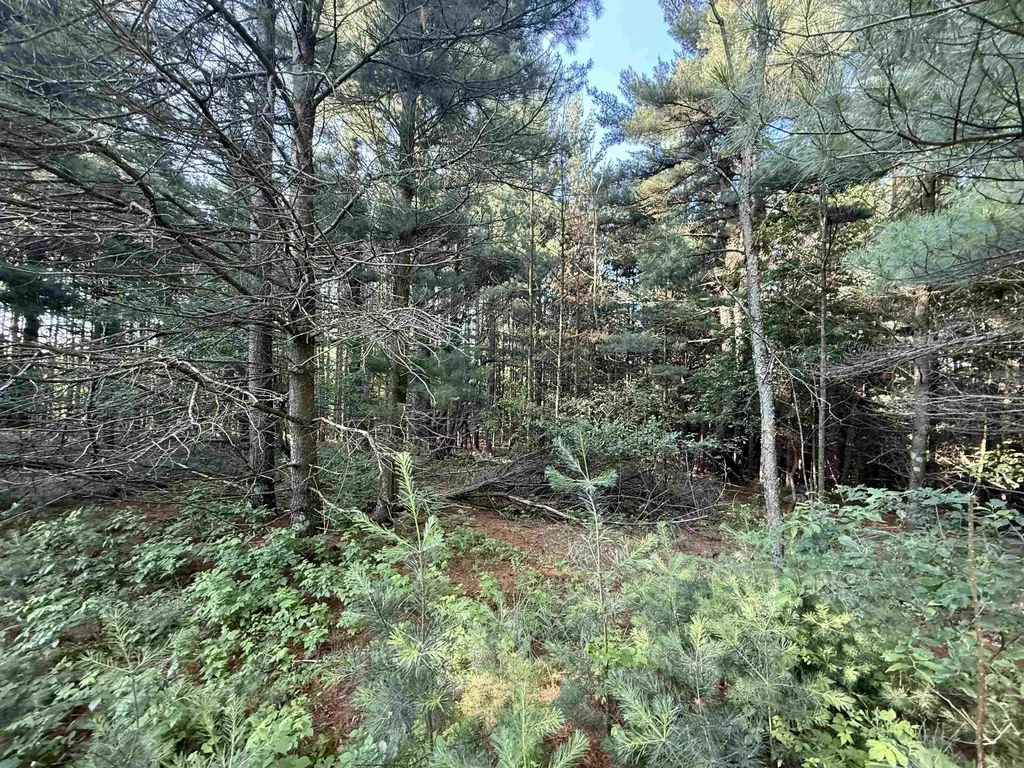 15 S Westview Drive Empire Township MI 49630