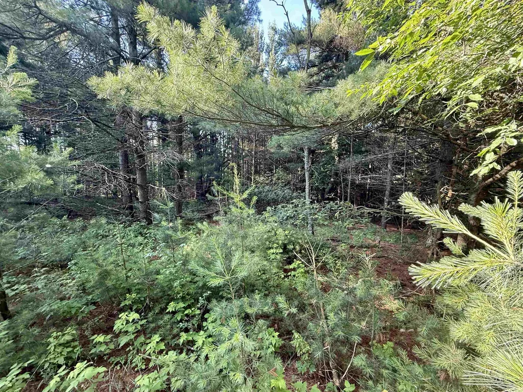 15 S Westview Drive Empire Township MI 49630