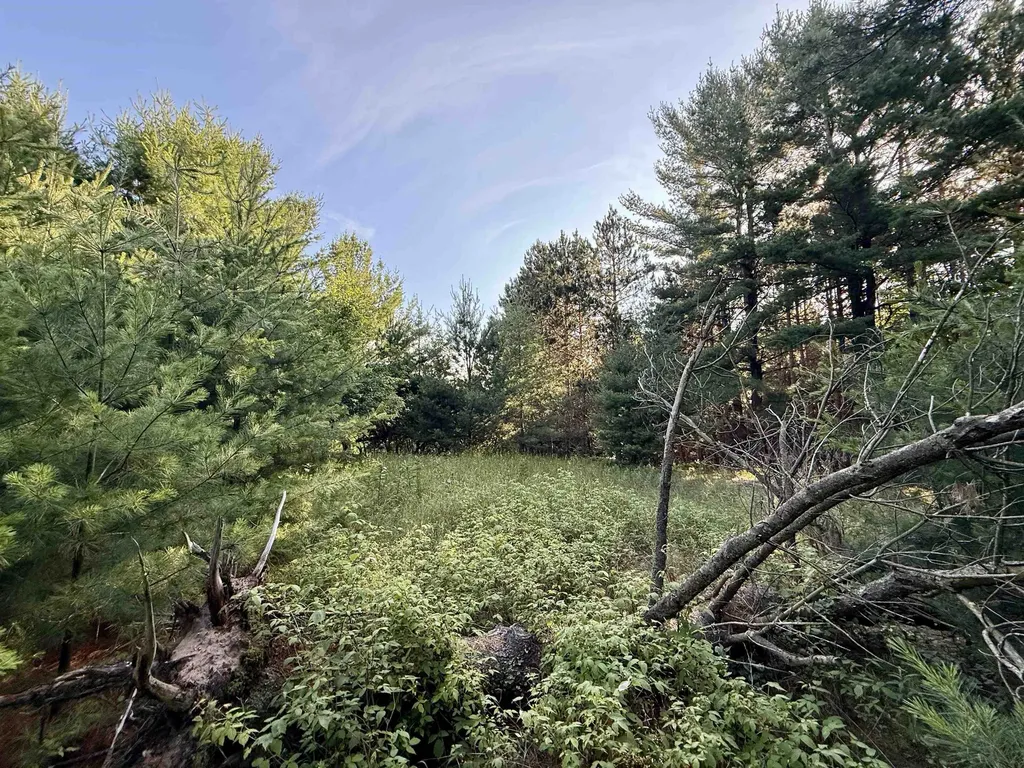 15 S Westview Drive Empire Township MI 49630