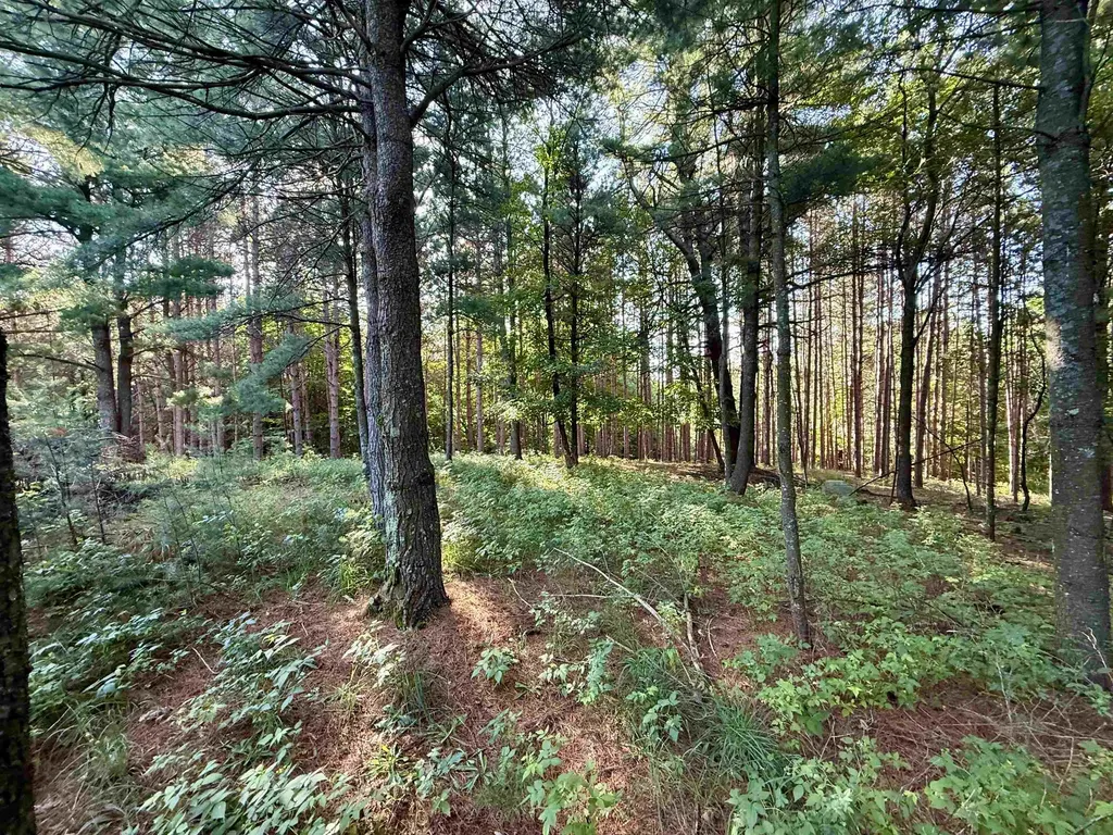 15 S Westview Drive Empire Township MI 49630