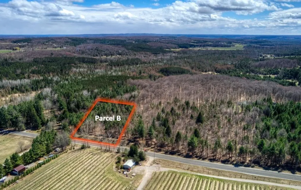 Parcel B E Bodus Road Centerville Township MI 49621