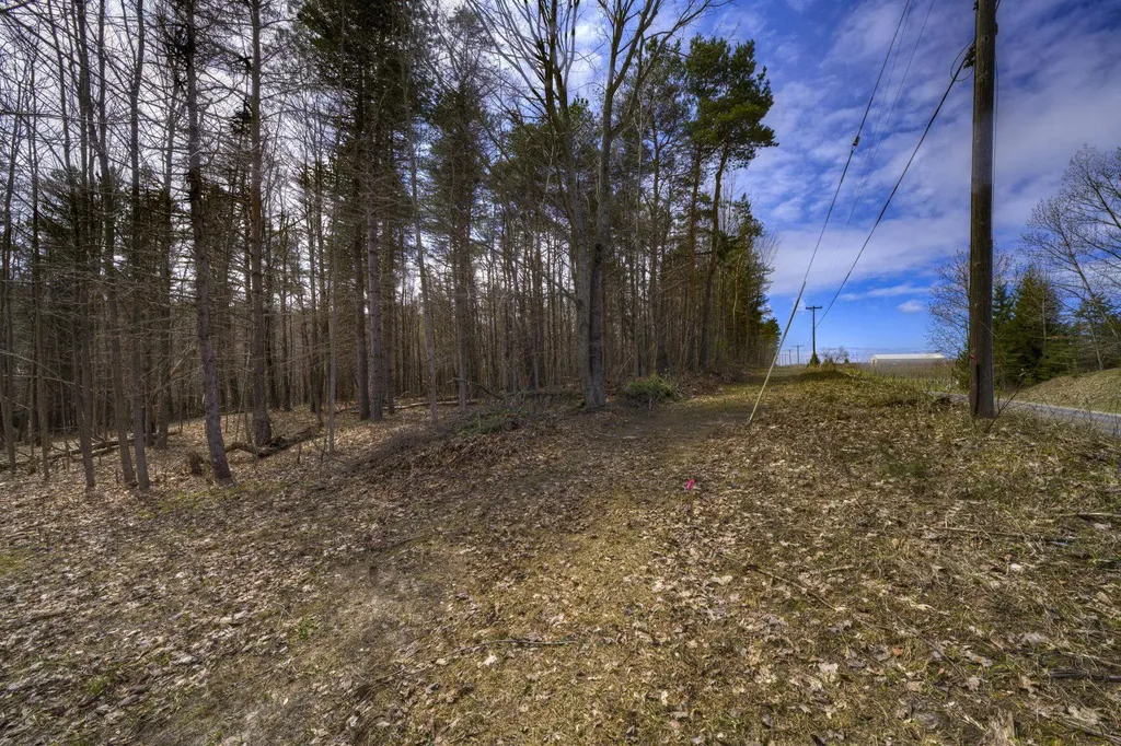 Parcel B E Bodus Road Centerville Township MI 49621