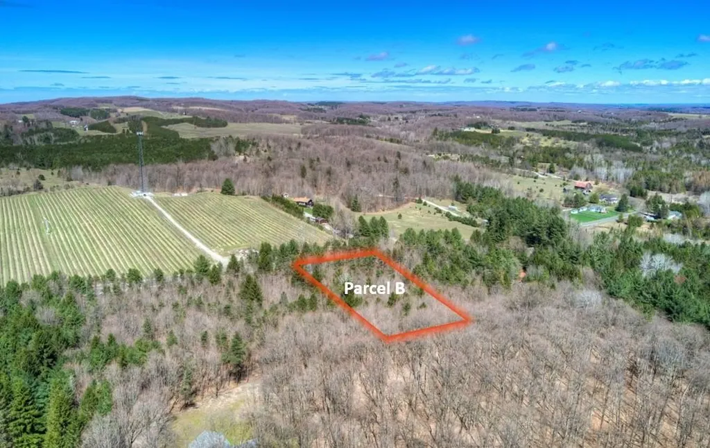Parcel B E Bodus Road Centerville Township MI 49621