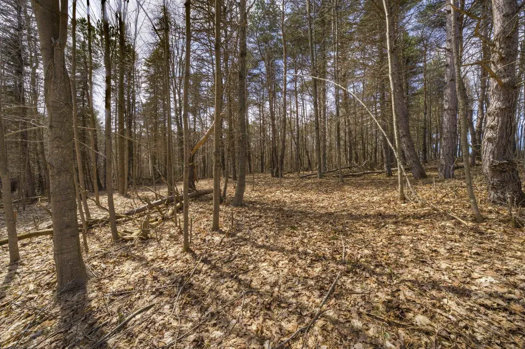 Parcel B E Bodus Road Centerville Township MI 49621