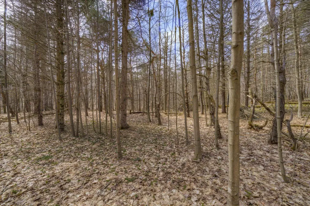 Parcel B E Bodus Road Centerville Township MI 49621