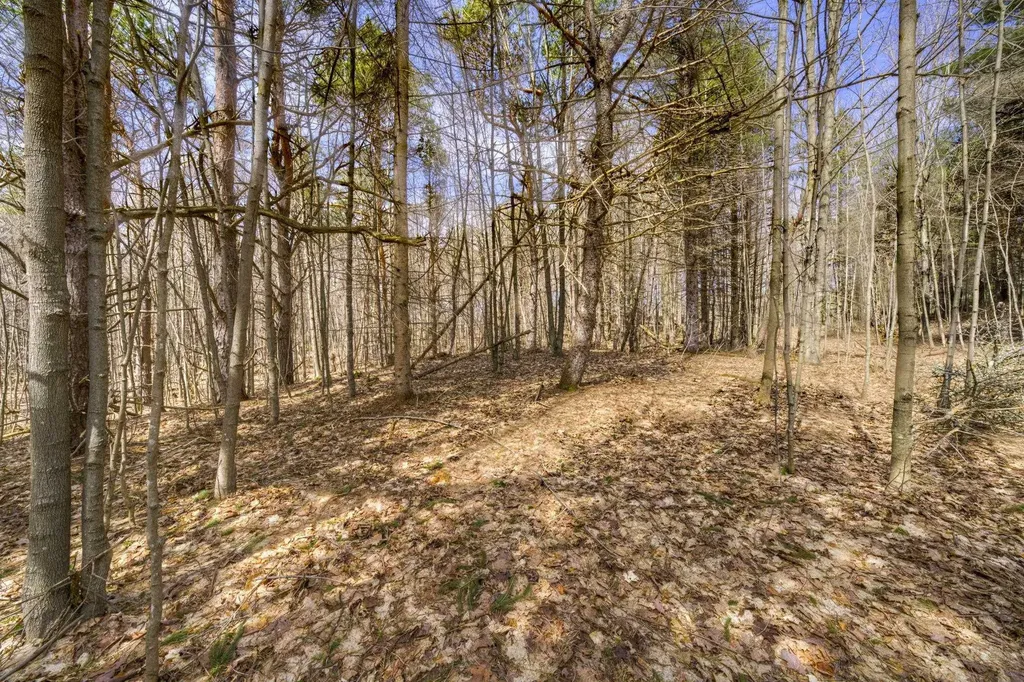 Parcel B E Bodus Road Centerville Township MI 49621