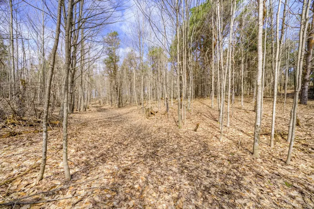 Parcel B E Bodus Road Centerville Township MI 49621