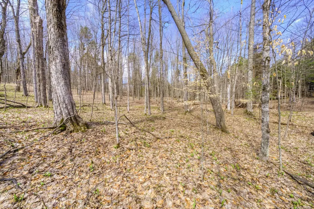 Parcel B E Bodus Road Centerville Township MI 49621