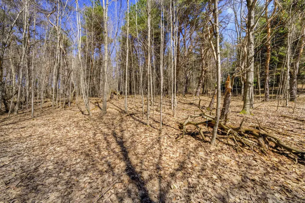 Parcel B E Bodus Road Centerville Township MI 49621