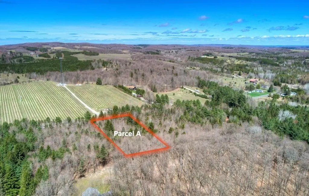 Parcel A E Bodus Road Centerville Township MI 49621