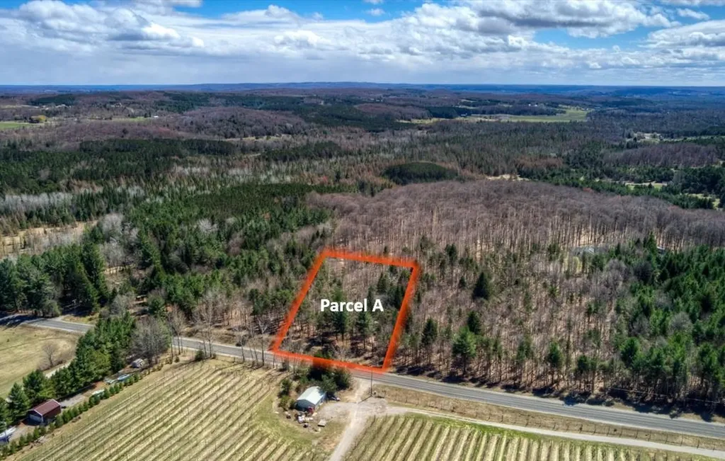 Parcel A E Bodus Road Centerville Township MI 49621