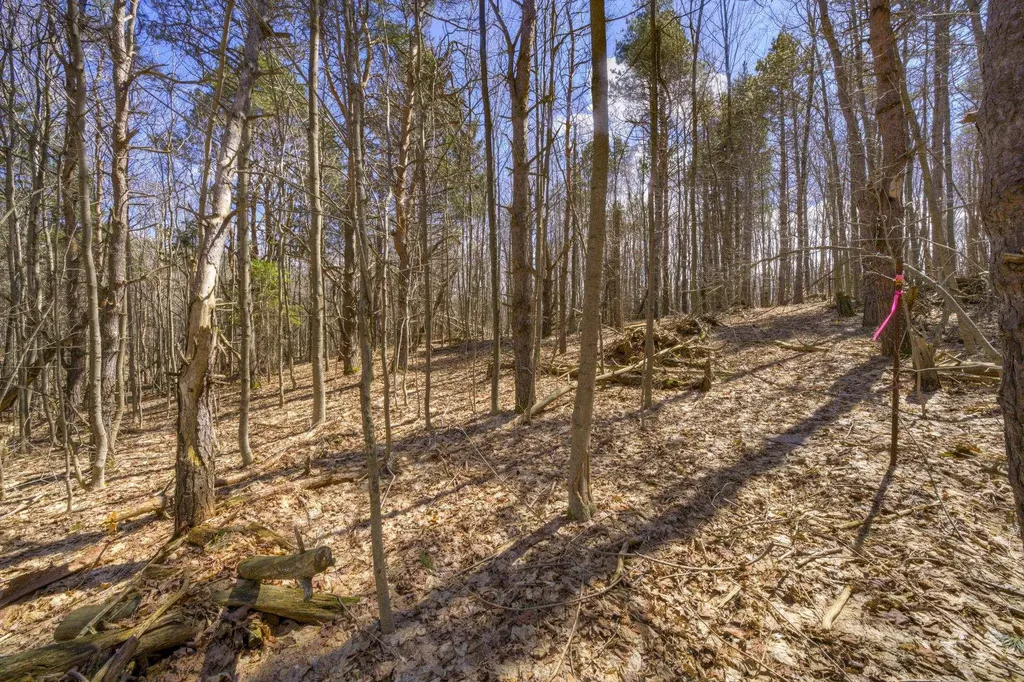 Parcel A E Bodus Road Centerville Township MI 49621