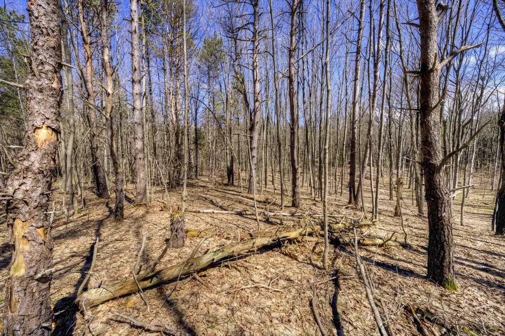 Parcel A E Bodus Road Centerville Township MI 49621
