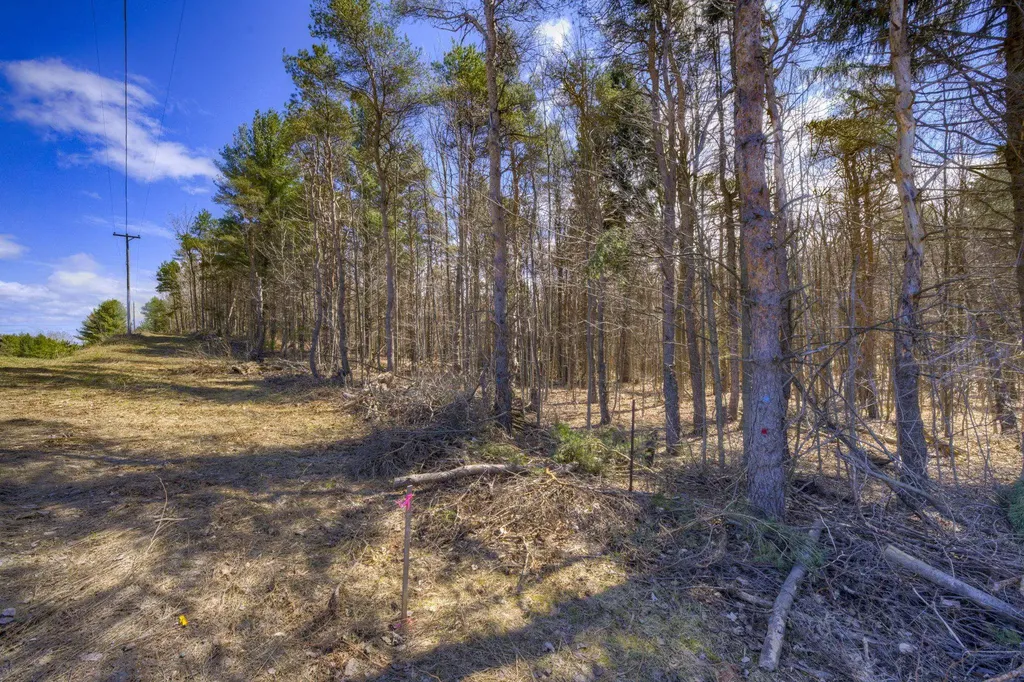 Parcel A E Bodus Road Centerville Township MI 49621