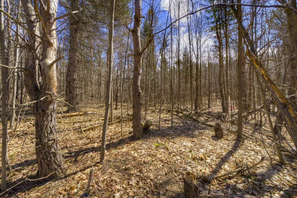Parcel A E Bodus Road Centerville Township MI 49621