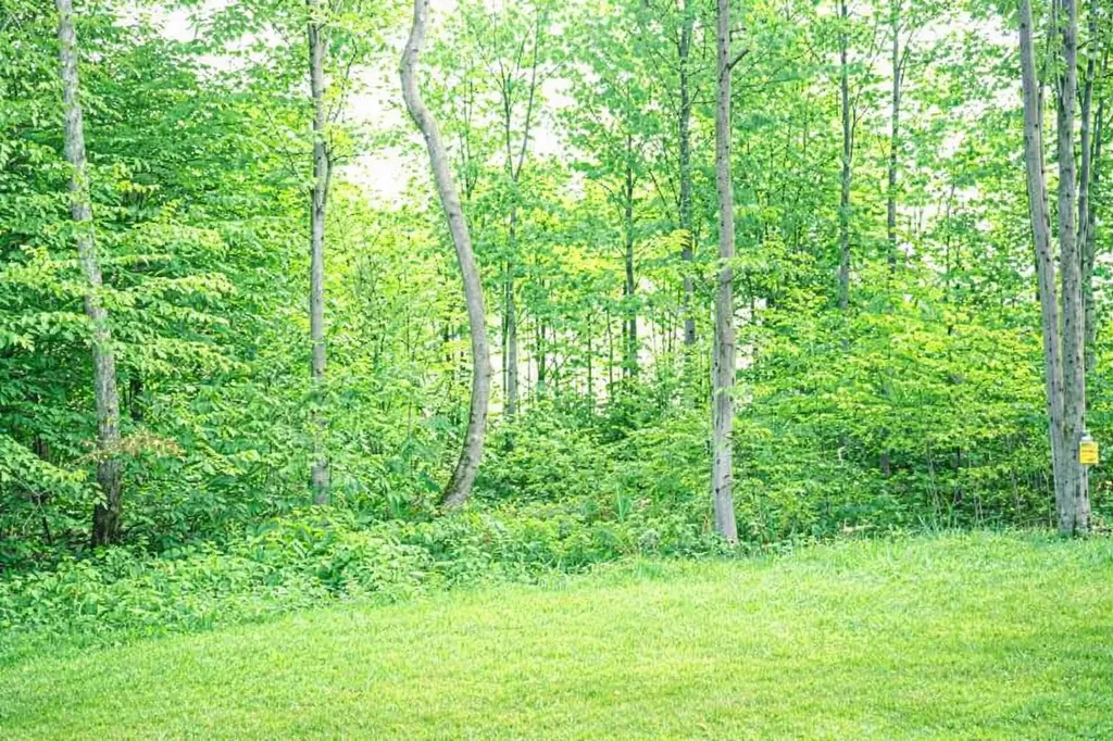 8922 Cedar Creek Drive Springvale Township MI 49770