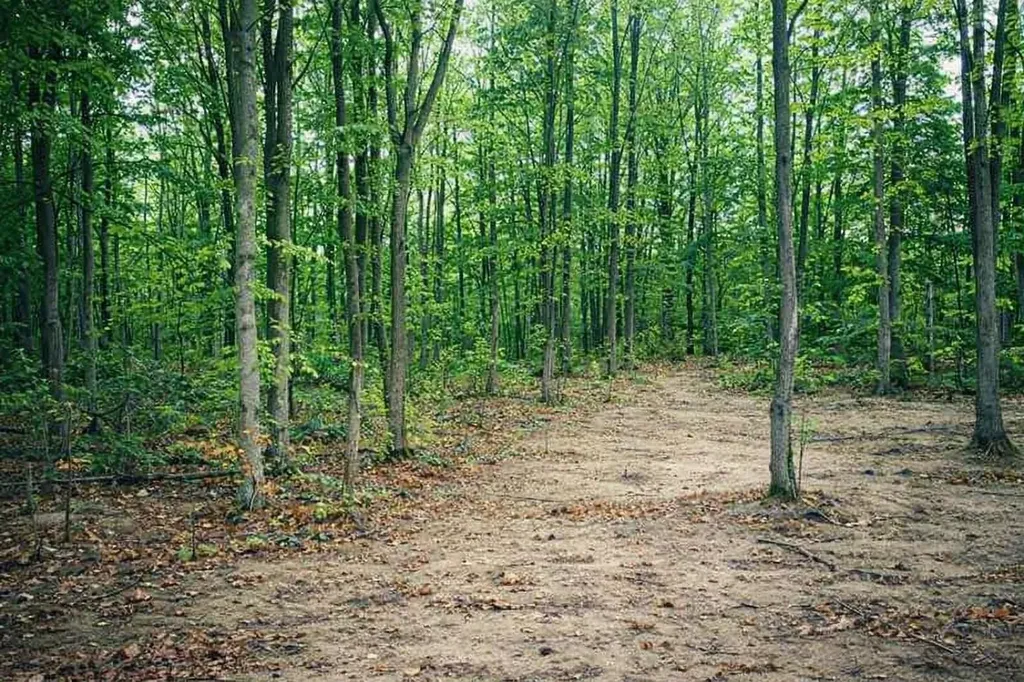 8922 Cedar Creek Drive Springvale Township MI 49770
