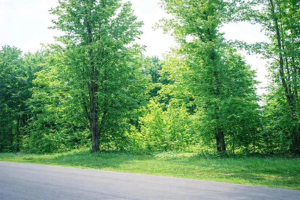 8922 Cedar Creek Drive Springvale Township MI 49770