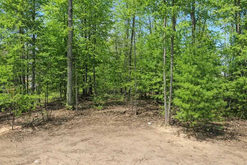 8922 Cedar Creek Drive Springvale Township MI 49770