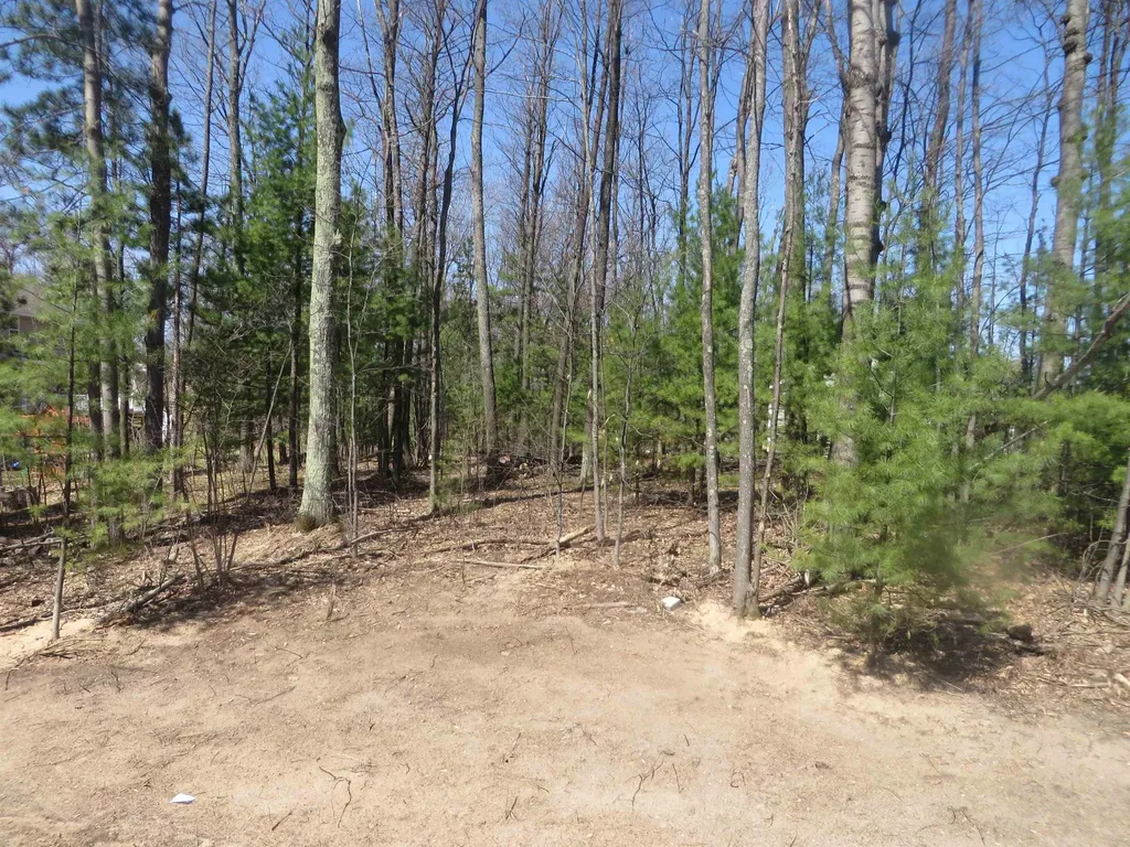 8922 Cedar Creek Drive Springvale Township MI 49770