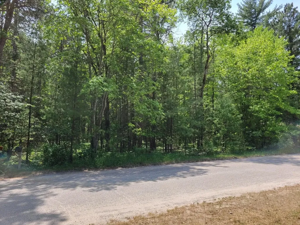 Helen Drive Grayling Charter Township MI 49738
