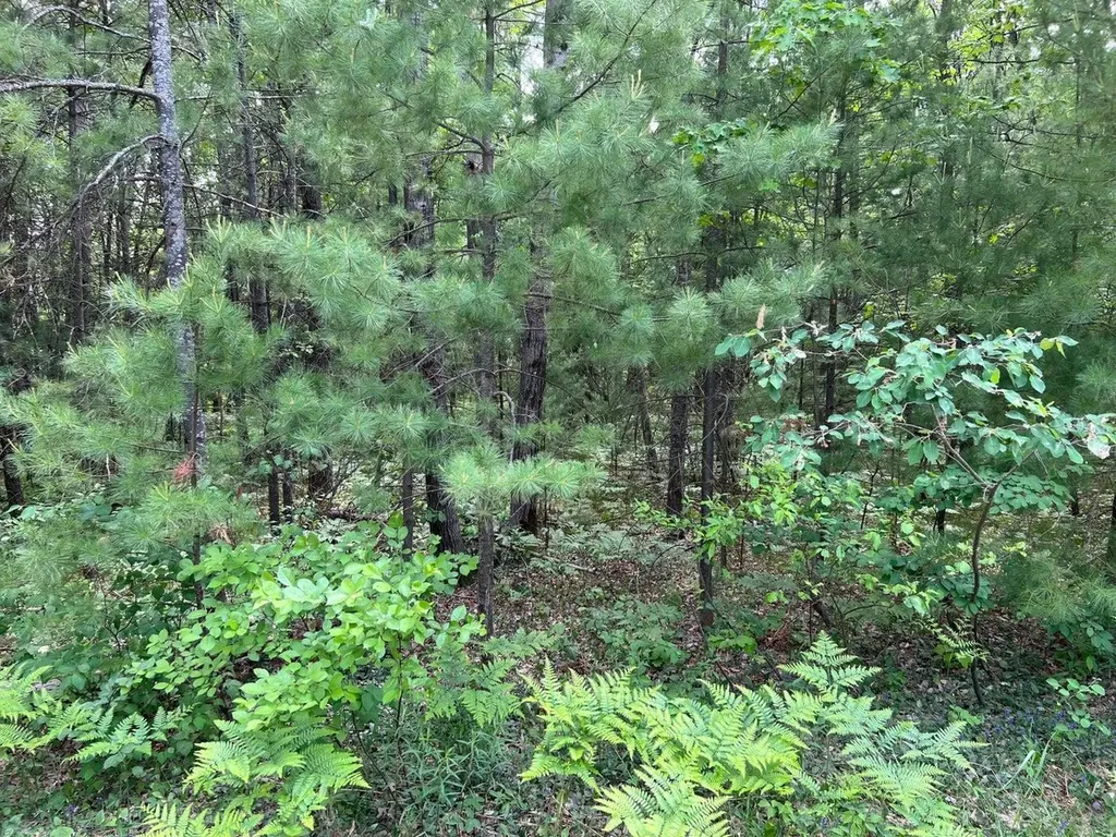 Helen Drive Grayling Charter Township MI 49738