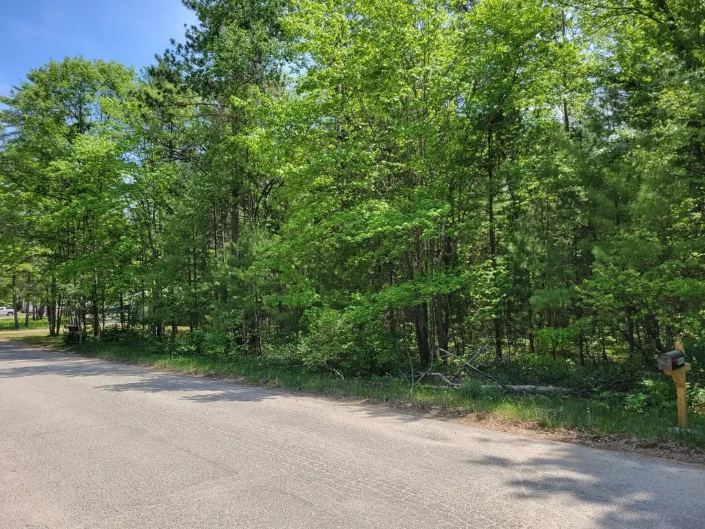 Helen Drive Grayling Charter Township MI 49738