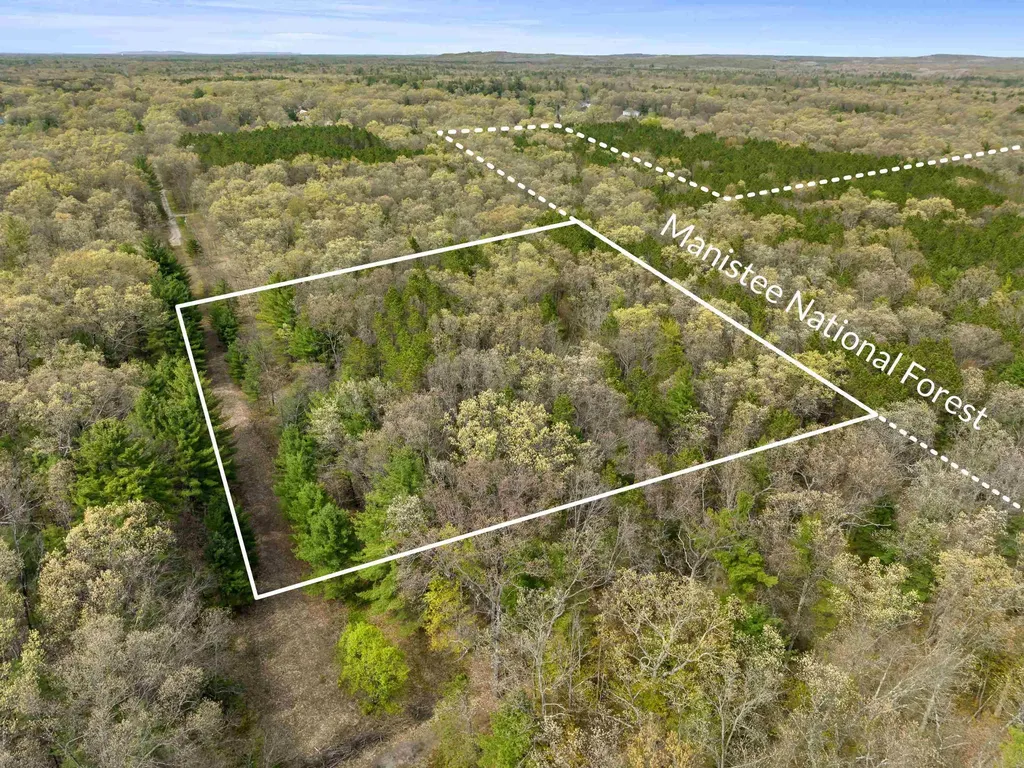 0 Maple Avenue Dickson Township MI 49619