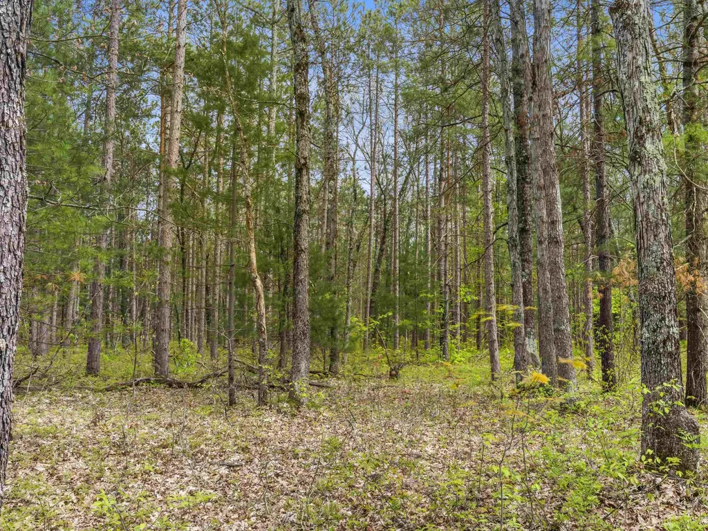 0 Maple Avenue Dickson Township MI 49619