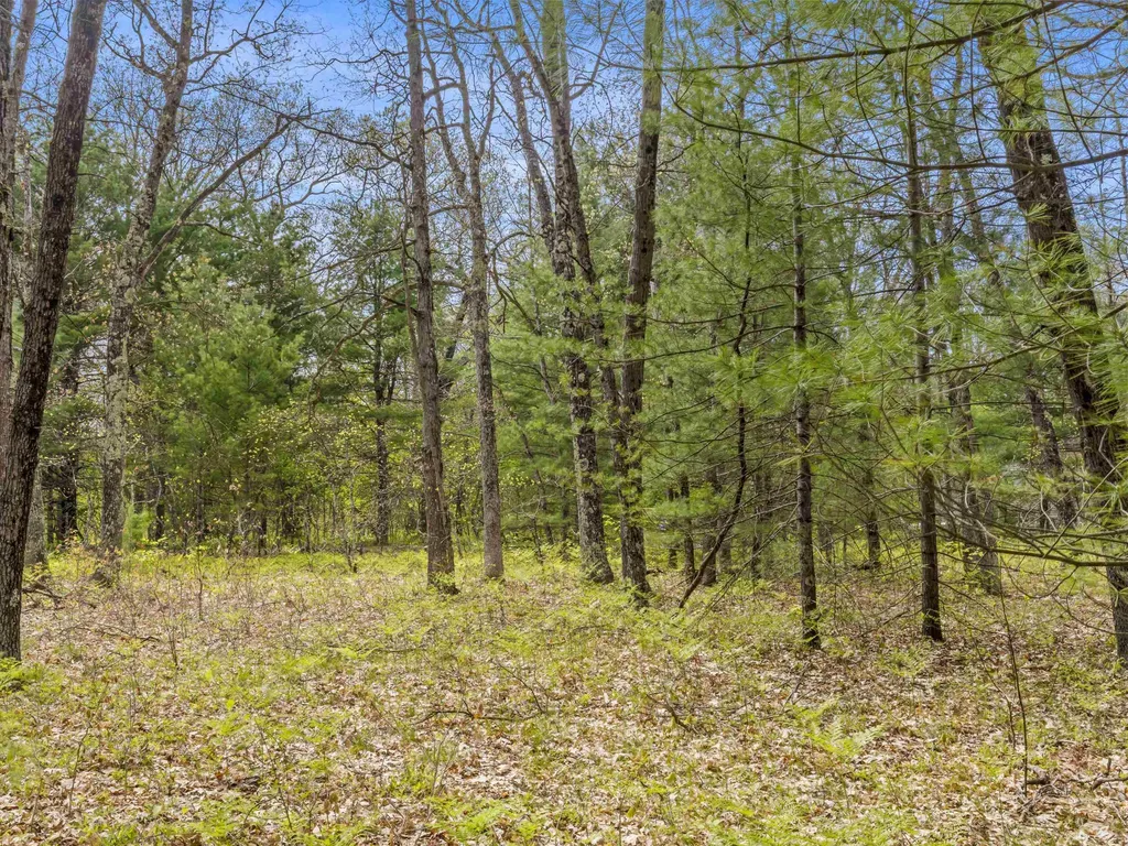 0 Maple Avenue Dickson Township MI 49619