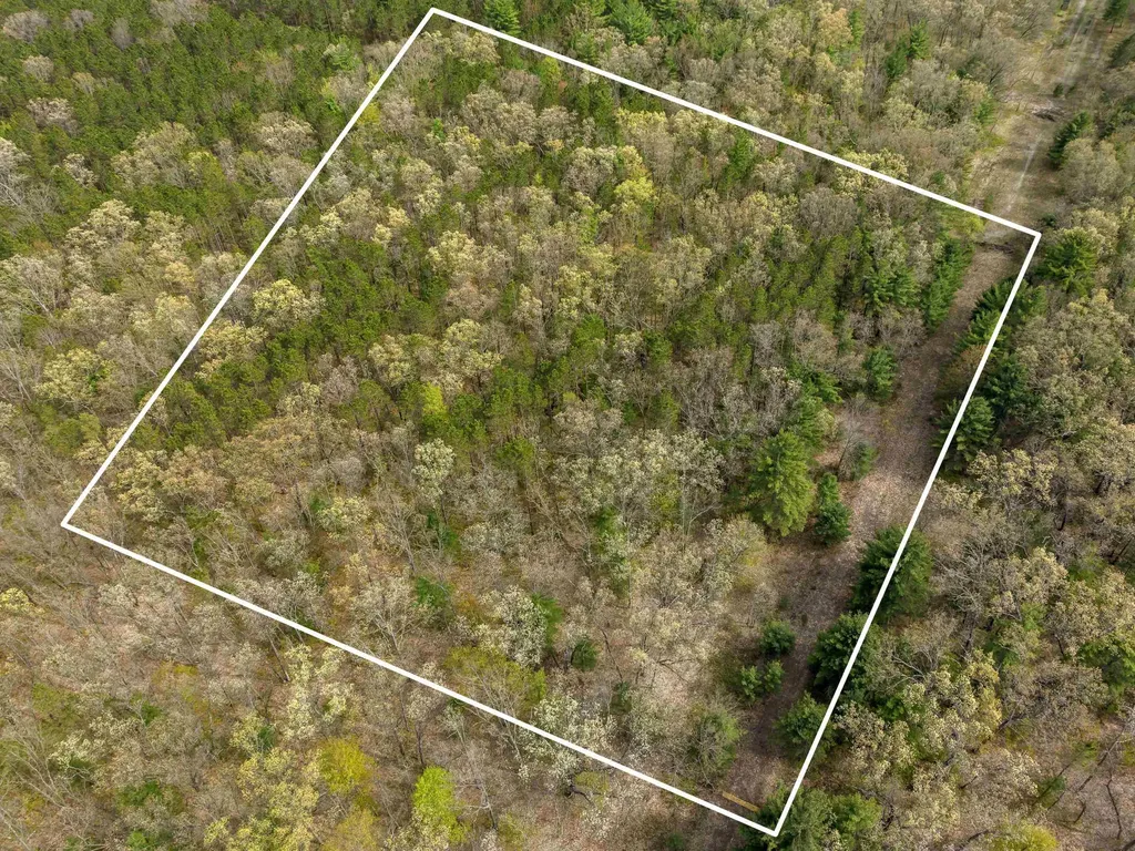 0 Maple Avenue Dickson Township MI 49619